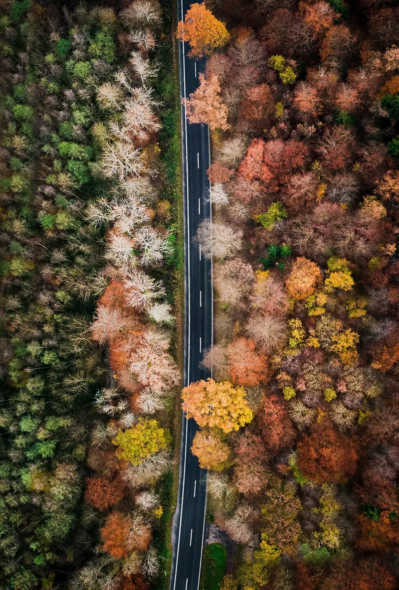 Seasonal